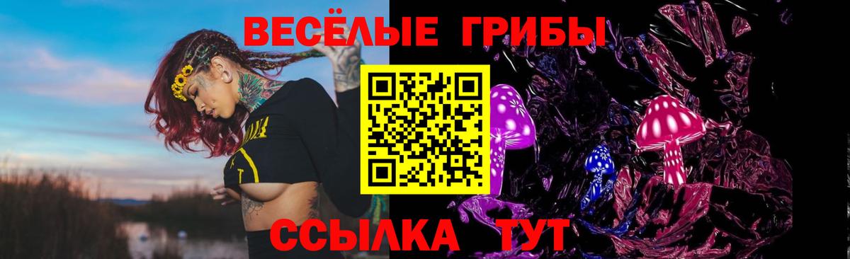 как найти наркотики  Галлюциногенные грибы Cubensis  Галлюциногенные грибы мицелий  Вход с VPN  Ревда 